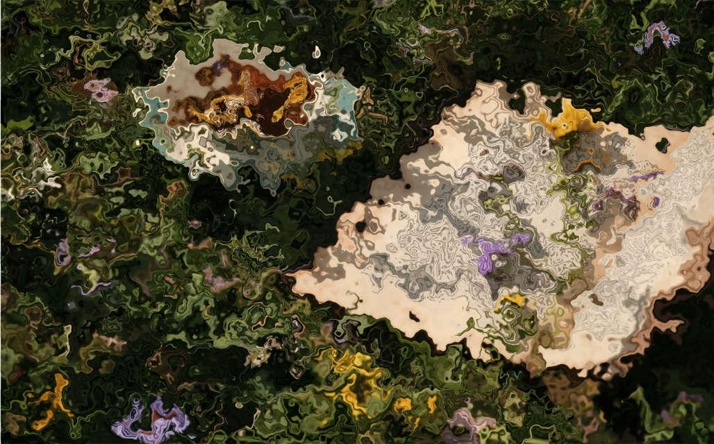 Flowers and ground textures